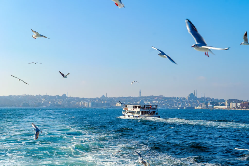 Istanbul City Tour Bosphorus cruise view