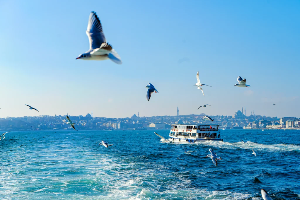 Istanbul tours