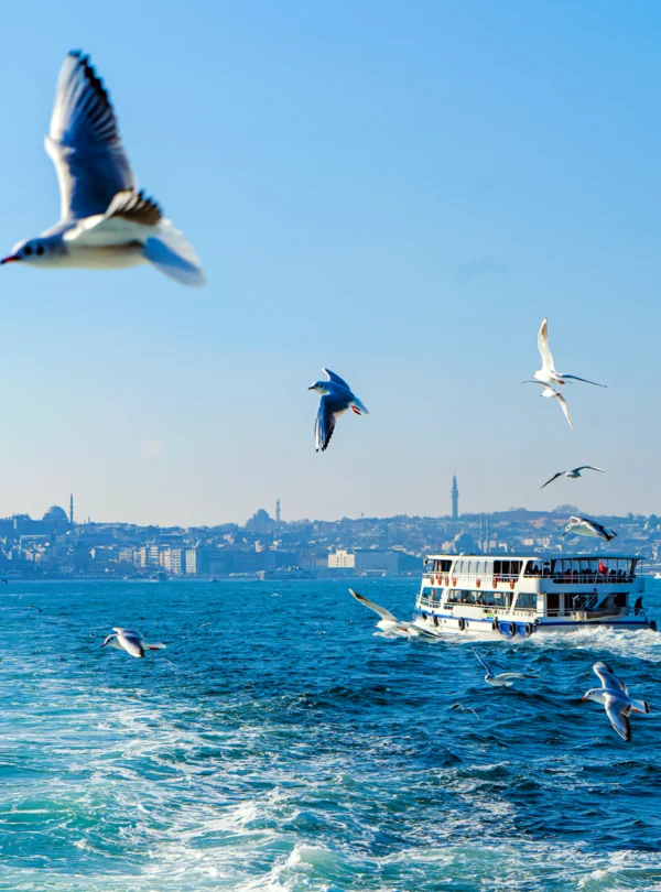 Istanbul tours