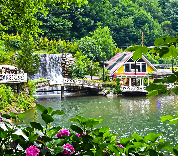 Turdetaylari kapak Sapanca