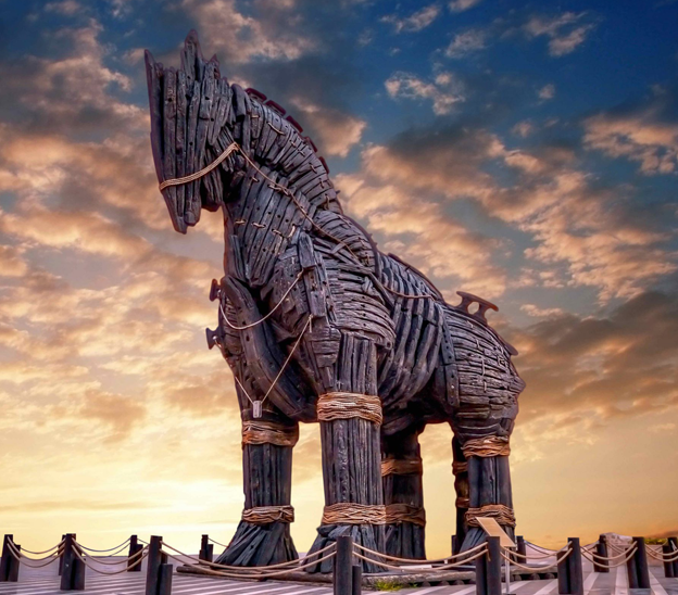 Turdetaylari kapak Troy