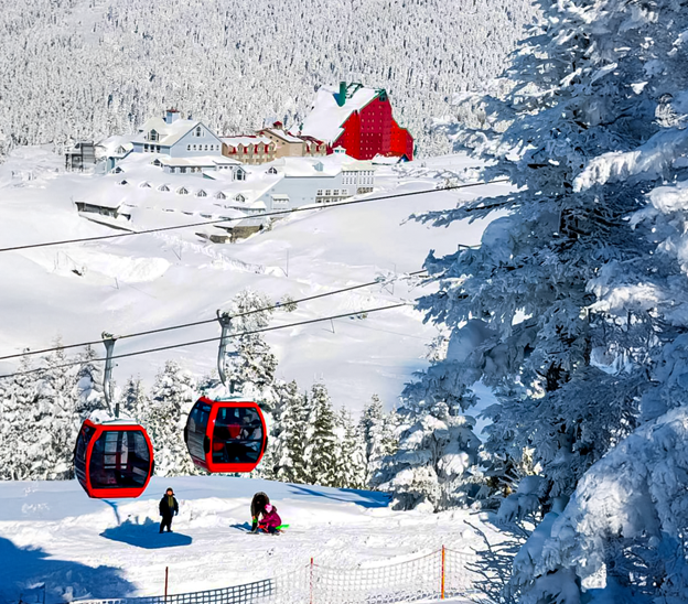 Turdetaylari kapak bursa