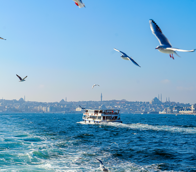 Turdetaylari kapak istanbul city