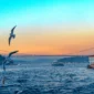 Istanbul Tur 14 85x85